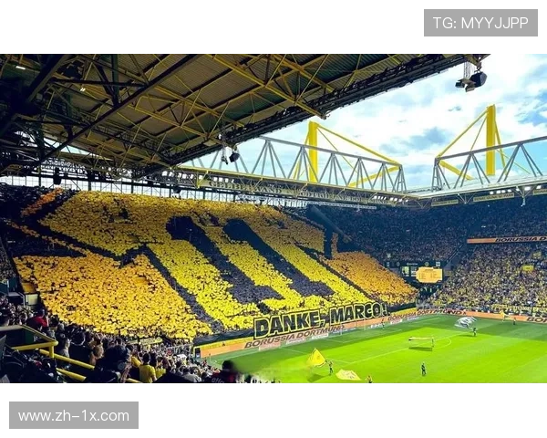 阿联酋主场球迷营造热烈氛围,巨型TIFO助威国家队 阿联酋主场球迷营造热烈氛围,巨型TIFO助威国家队